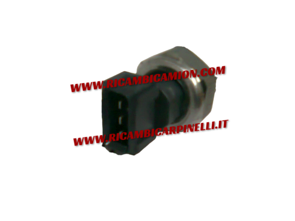 Foto4238-PhotoRoom.png-PhotoRoom (1)