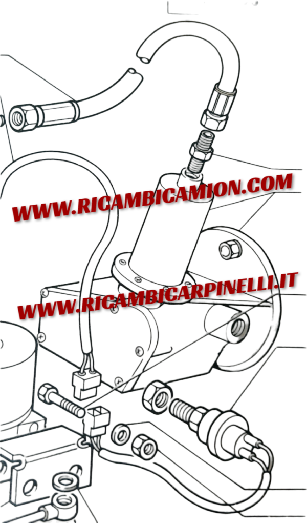 dz-PhotoRoom.png-PhotoRoom (1)